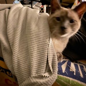 Meet your Posher, Kim